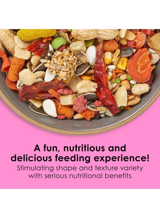 Kaytee Fiesta Big Bites Small Parrot & Conure Food, Nutritious and Fun Blend, Supports Skin, Feather, Digestion, Brain and Heart Health, 4 pounds - Image 2