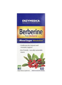 ENZYMEDICA Enzymedica, Berberine, 60 Targeted-Delivery Capsules 