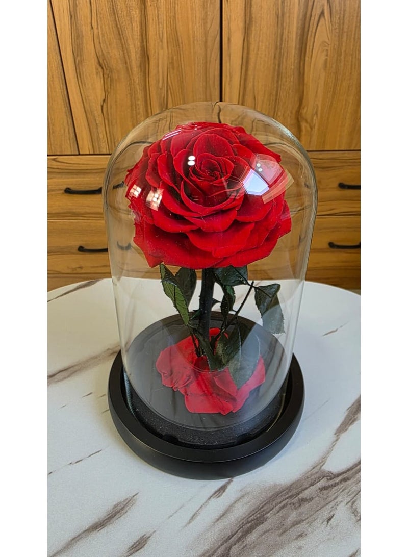 فلاور وردة أبدية محفوظة في قبة زجاجية - هدية فاخرة - Image 1