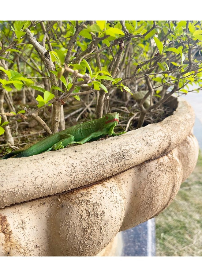 Nakimo - Iguana Animal Figurine Lizard Toy Realistic Reptile Figures For Decoration Science Education Prank Props - Image 1