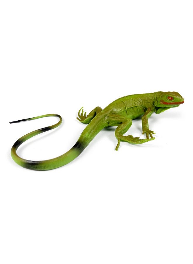 Nakimo - Iguana Animal Figurine Lizard Toy Realistic Reptile Figures For Decoration Science Education Prank Props - Image 1