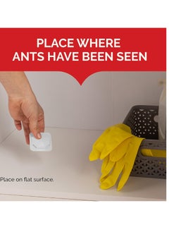 Hot Shot Hot Shot Ant Bait, Kills the Queen and Colony, Works for 6 months, Pack of 1, 8 Count  - Image 5