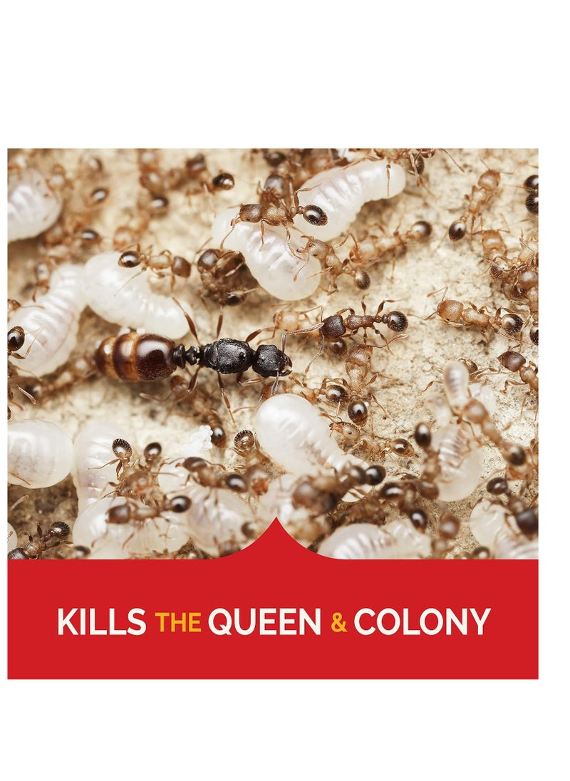 Hot Shot Ant Bait, Kills the Queen and Colony, Works for 6 months, Pack of 1, 8 Count - pzsku/Z30066C194267CC917DF1Z/45/_/1717746643/19203035-d0d4-49d6-b5a8-ec3c65e0678e