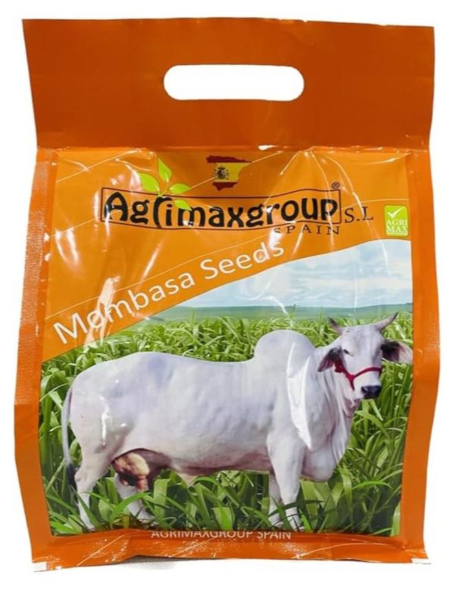 Mombasa Premium Quality Seeds By Agrimaxgroup| Made in Spain 1kg | Mombasa F1 Quality Seeds/Suitable for UAE Climate | 1kg