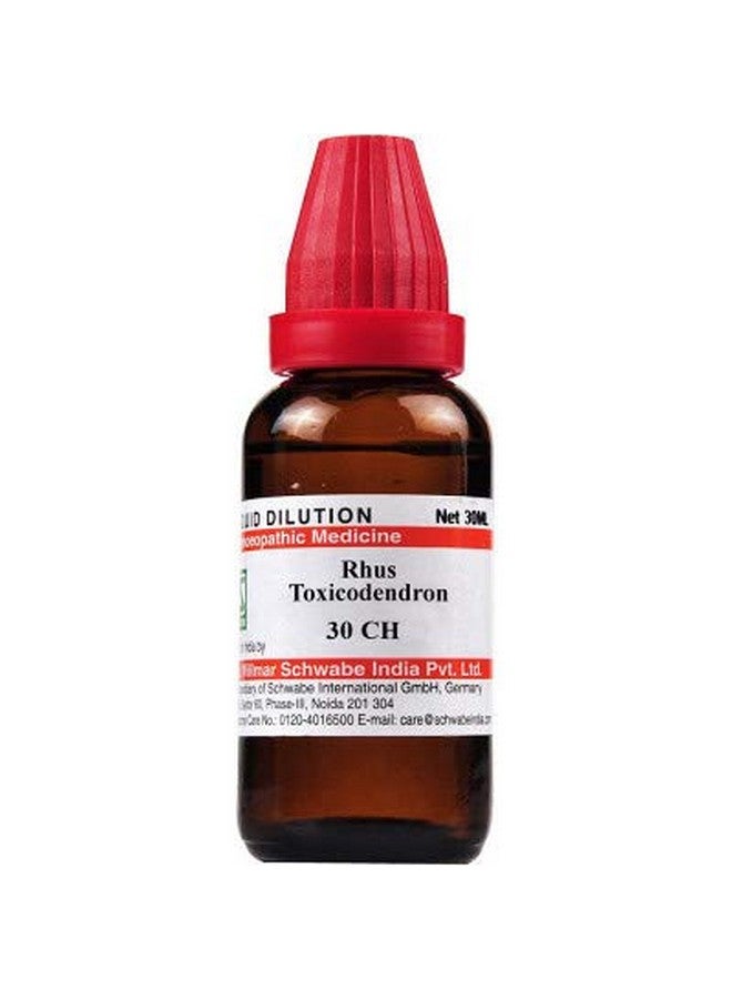 Schwabe Dr.Willmar Schwabe India Rhus Toxicodendron 30CH 30CH Liquid (4 x 30) - Image 2