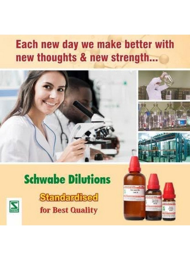 Schwabe Dr.Willmar Schwabe India Rhus Toxicodendron 30CH 30CH Liquid (4 x 30) - Image 5