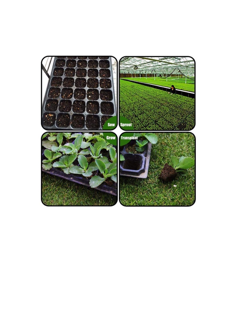 Generic Seed Starter Kit Plug Tray Starting Trays 10 Pack BPA-Free Planting Trays72-Cell Seeding Starter Tray for Planting Seedlings, Greenhouse, Wheatgrass, Microgreens  - Image 2