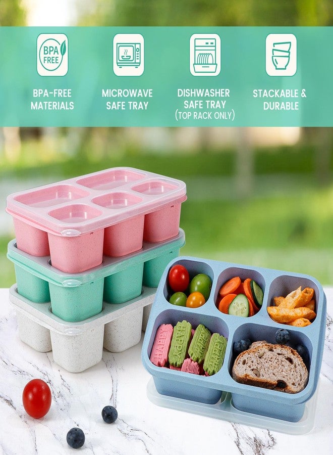Caperci Wheat Straw Bento Snack Box Containers for Adults & Kids - Reusable Adult Lunchable Food Storage Containers with 5-Compartment for Snacks & Meals, BPA-Free, 4-Pack (Multicolor & Clear Lids) - Image 4