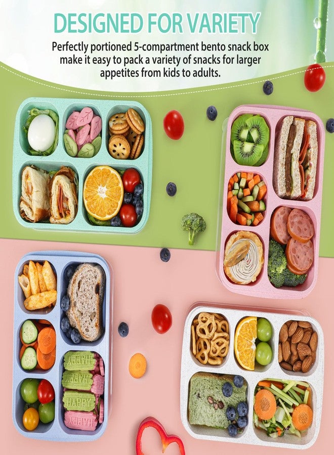 Caperci Wheat Straw Bento Snack Box Containers for Adults & Kids - Reusable Adult Lunchable Food Storage Containers with 5-Compartment for Snacks & Meals, BPA-Free, 4-Pack (Multicolor & Clear Lids) - Image 3