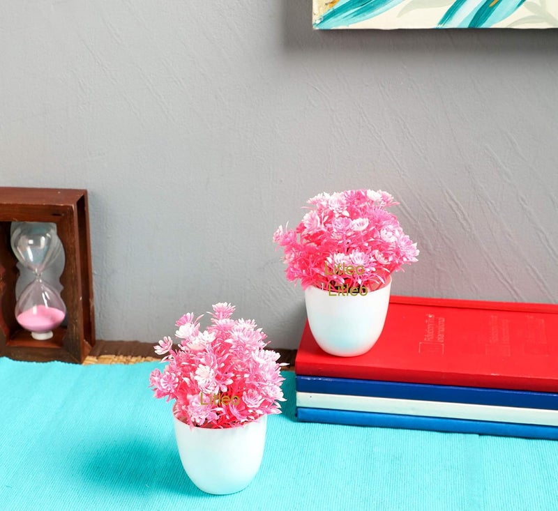 Litleo Litleo Set of 2 Great for Home Or Office Decoration or Birthday Mini Pink Table top Bonsai 