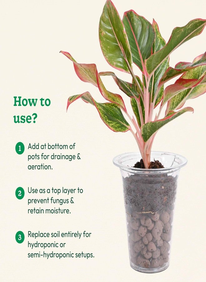 أوجاو كرات ليكا من يوغاو للنباتات 1.8 كجم / 6 لتر - كرات طينية للنباتات والزراعة المائية والزراعة بدون تربة - تحسن نمو النبات والتهوية والصرف (الحجم: 8-15 مم) - Image 5