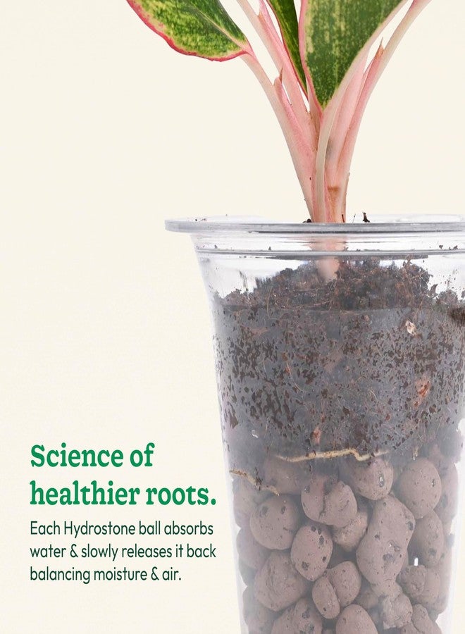 أوجاو كرات ليكا من يوغاو للنباتات 1.8 كجم / 6 لتر - كرات طينية للنباتات والزراعة المائية والزراعة بدون تربة - تحسن نمو النبات والتهوية والصرف (الحجم: 8-15 مم) - Image 4