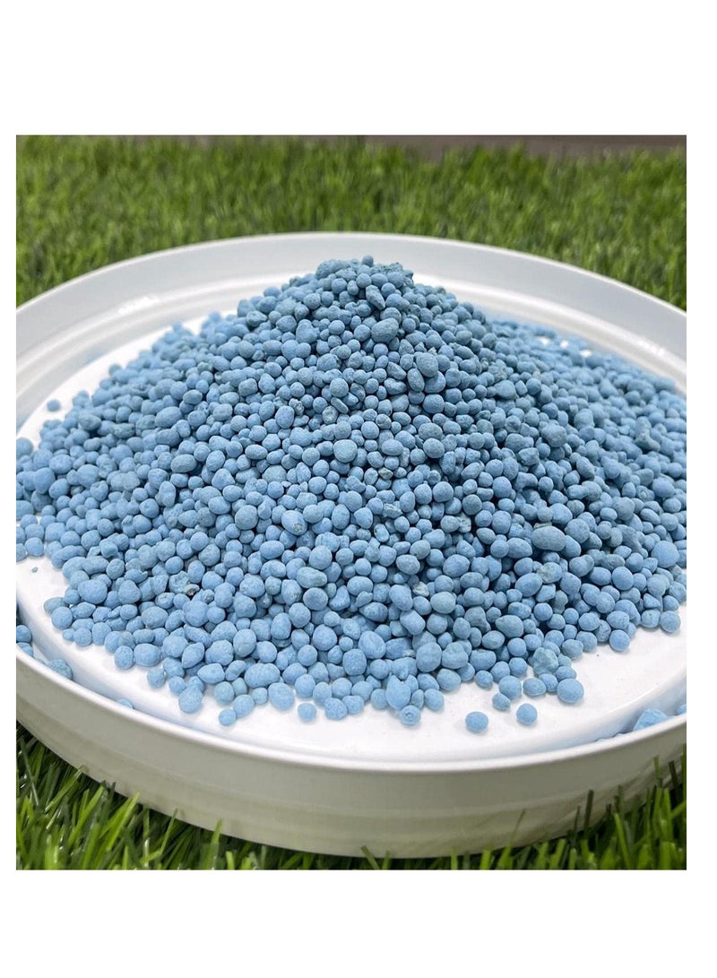 DESERT ENERGY NPK 12-12-17 (Blue NPK) For Lush Garden 500 grams  - Image 1
