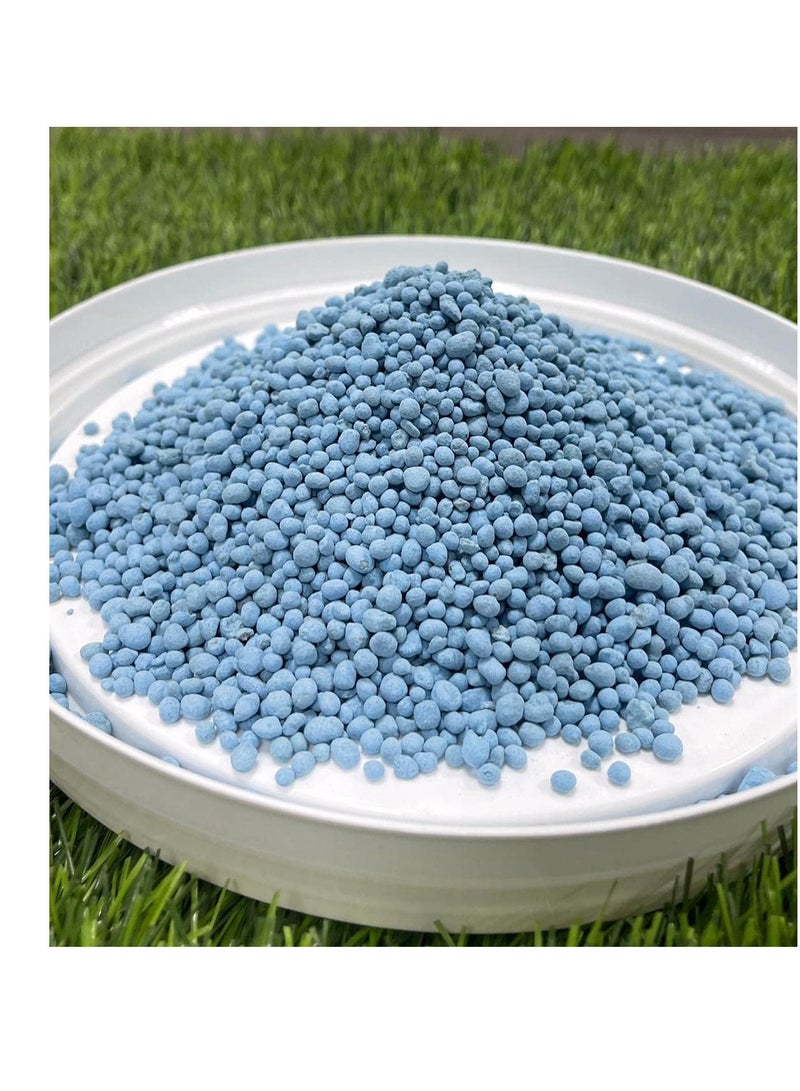DESERT ENERGY NPK 12-12-17 (Blue NPK) For Lush Garden 500 grams  - Image 3