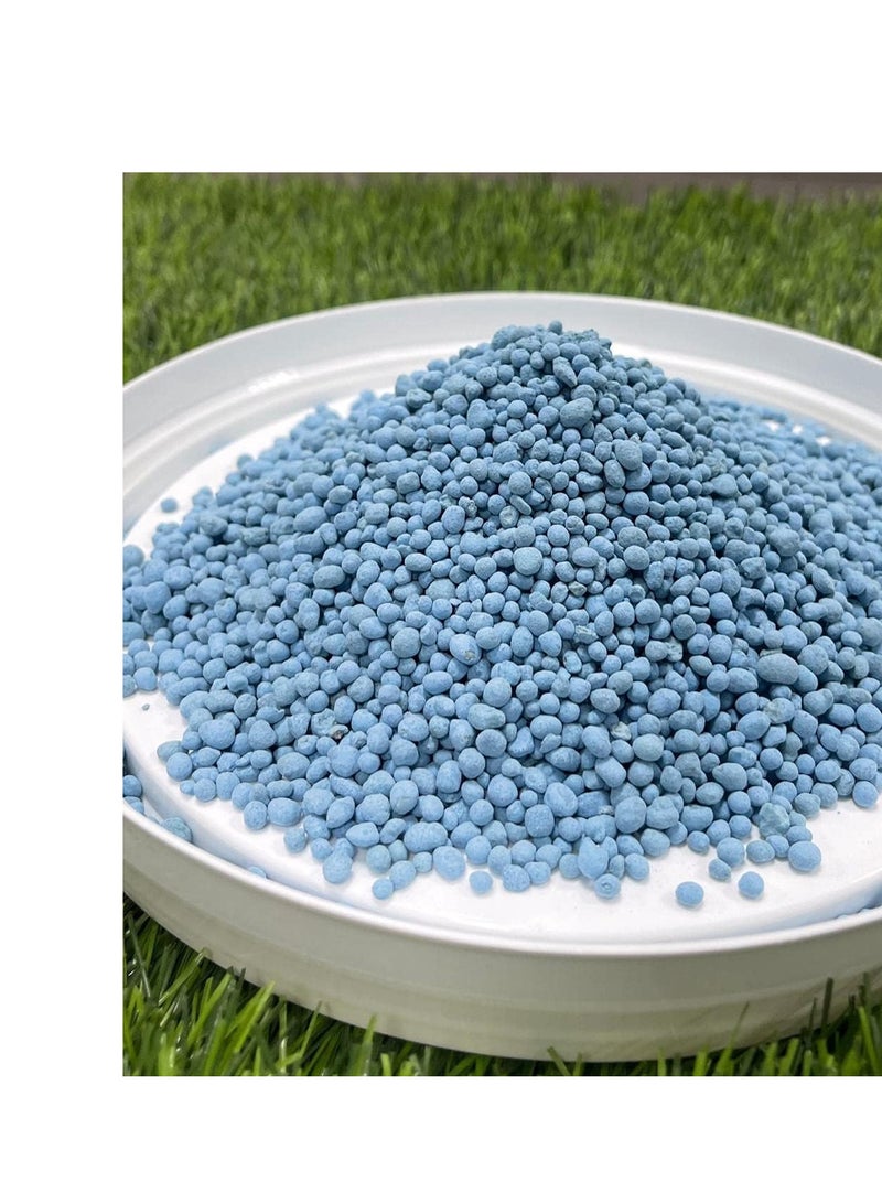 DESERT ENERGY NPK 12-12-17 (Blue NPK) For Lush Garden 500 grams  - Image 2