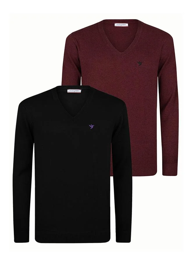 FELIX HARDY V-Neck Sweater Pack of 2