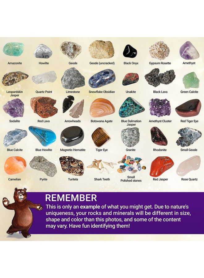 Dancing Bear Rock & Mineral Collection Activity Kit (200+Pcs) With Geodes Shark Teeth Fossils Arrowheads Crystals Gemstones For Kids Rock Book Treasure Hunt Id Sheet Stem Education Made In Usa - Image 5