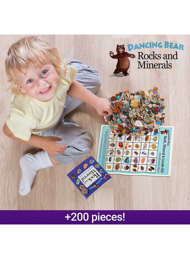 Dancing Bear Rock & Mineral Collection Activity Kit (200+Pcs) With Geodes Shark Teeth Fossils Arrowheads Crystals Gemstones For Kids Rock Book Treasure Hunt Id Sheet Stem Education Made In Usa - Image 4