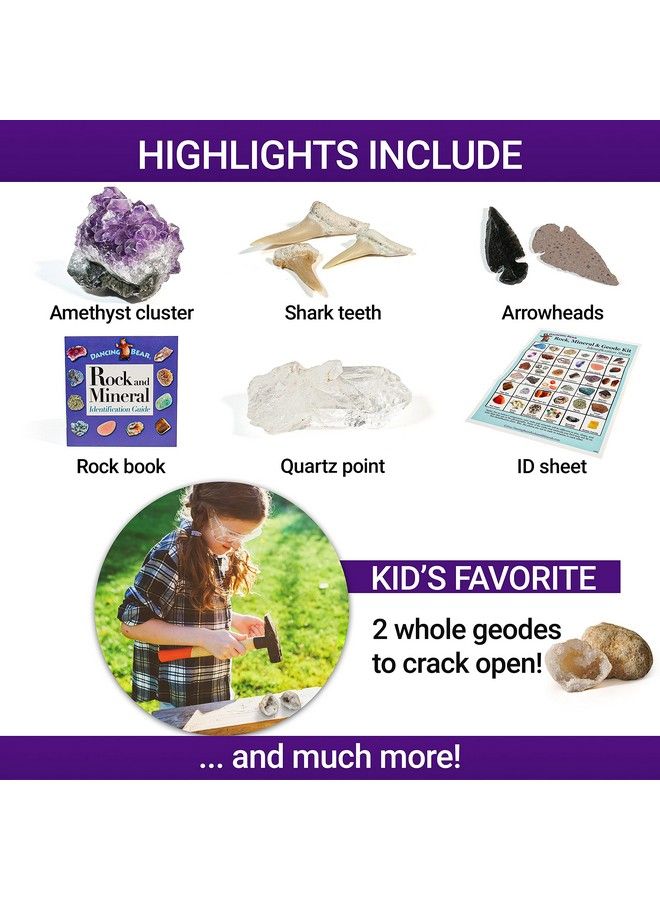 Dancing Bear Rock & Mineral Collection Activity Kit (200+Pcs) With Geodes Shark Teeth Fossils Arrowheads Crystals Gemstones For Kids Rock Book Treasure Hunt Id Sheet Stem Education Made In Usa - Image 3