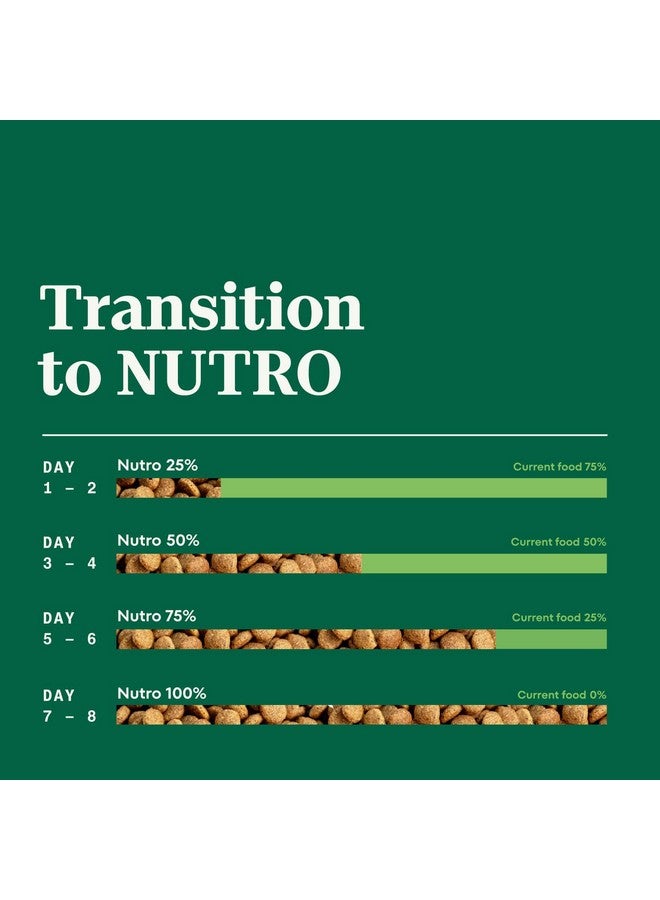 Nutro Natural Choice Puppy Dry Dog Food, Chicken & Brown Rice Recipe Dog Kibble, 5 Lb. Bag - Image 4