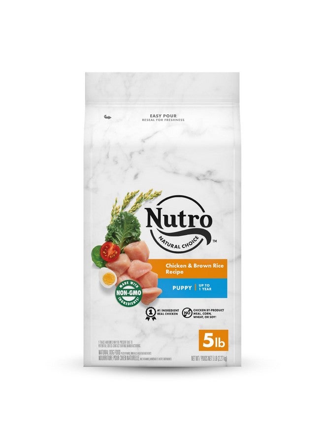 Nutro Natural Choice Puppy Dry Dog Food, Chicken & Brown Rice Recipe Dog Kibble, 5 Lb. Bag - Image 1