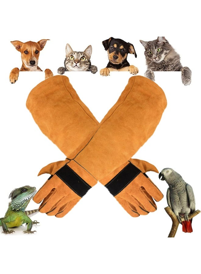CMGTYYD Animal Handling Gloves Anti-Bite/Scratch Protective Gloves for Training Dogs Cat Bird Snake Parrot Lizard Wild Animals Reptiles 