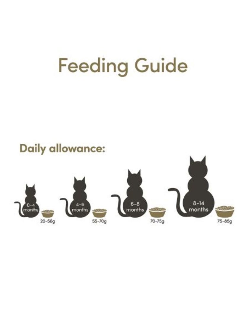 Applaws Cat Adult Dry Food, Chicken With lamb 7.5KG - Image 4