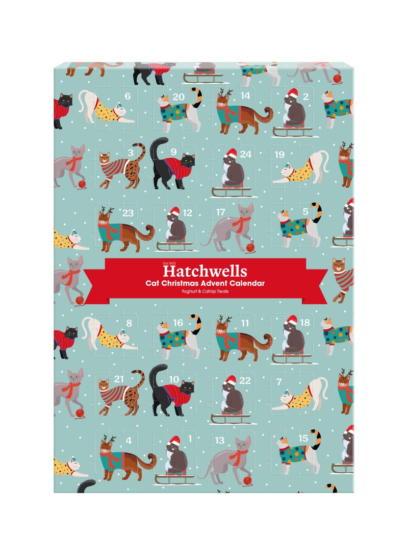 Webbox Cat Advent 70G