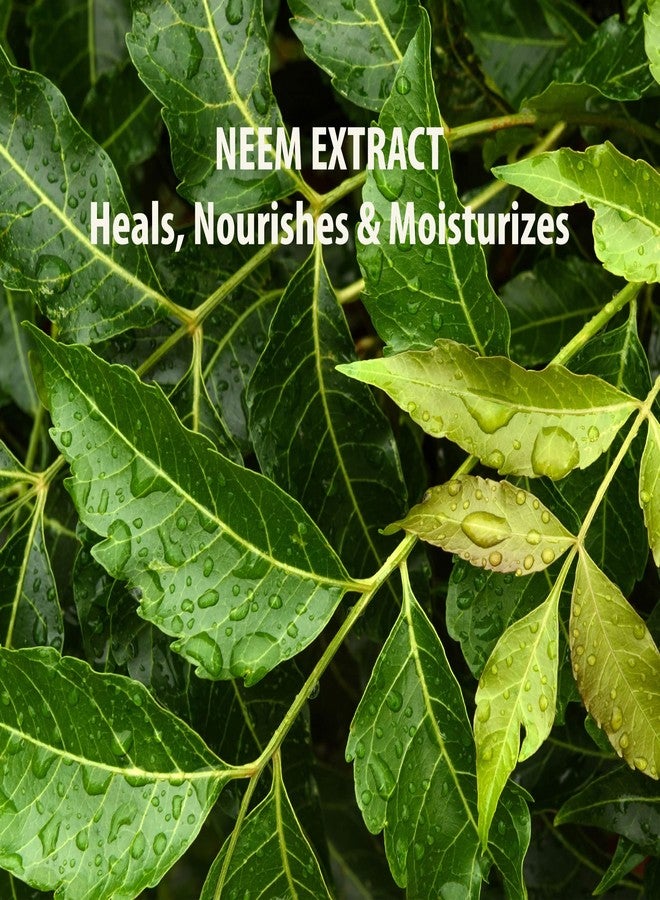 SUNDARI Neem Eye Cream, 0.5 Fl Oz, Lightweight Under Eye Cream, Reduces Puffiness, Dark Circles & Firms Delicate Skin, Nourishing and Soothing - Image 4