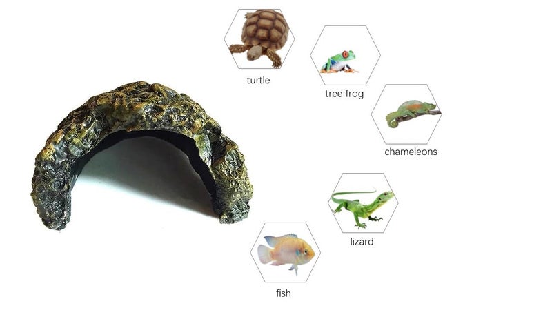 Bigwe Reptile Habitat, Turtle Hideout,Water Tank Decoration for Fish, Reptiles, Amphibians,Frogs, Snakes,Lizards,Shrimps, Spiders and Small Animalsâ€¦ - Image 2