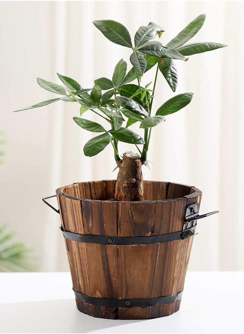 HOME TASTE TOMSUN Vintage Wooden Flower Pots With Handle Decorative Cactus Pottery Planter Box for Desktop Decor Home and Office  - Image 3