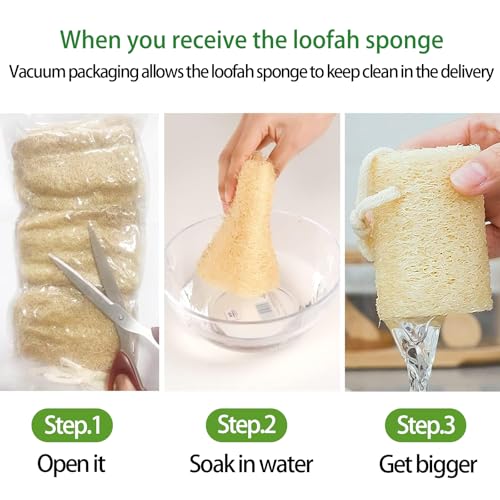 FRTIM Natural Loofah Sponge, Organic Bath Loofah Pack, Lufas Exfoliating Body Scrubber, Loofas Sponges Shower Loofah for Women and Men, Skin SPA Ecotools- 6 Pack - Image 5