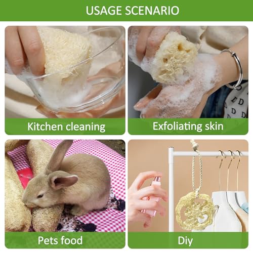 FRTIM Natural Loofah Sponge, Organic Bath Loofah Pack, Lufas Exfoliating Body Scrubber, Loofas Sponges Shower Loofah for Women and Men, Skin SPA Ecotools- 6 Pack - Image 4