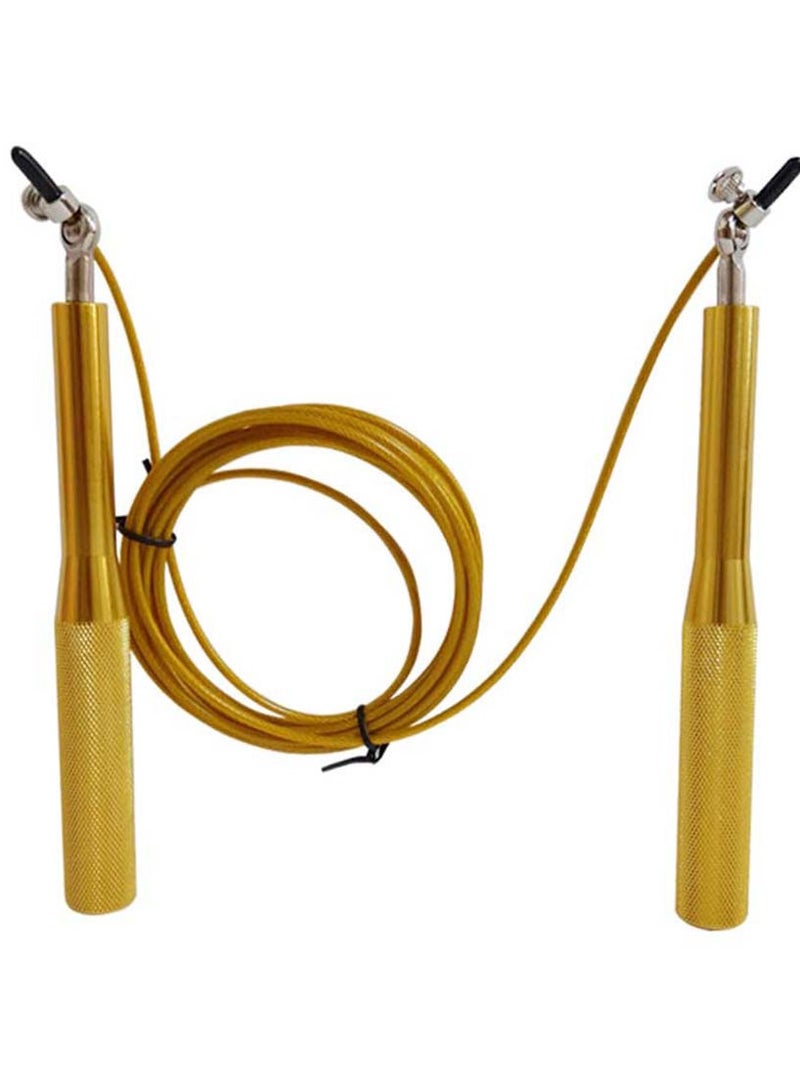 Spall Metal Speed Skipping Rope Workout Exercise Jump Rope With Bearing Adjustable Cables Bold Rope Aluminium Handles Metal Training For Adults - Image 1