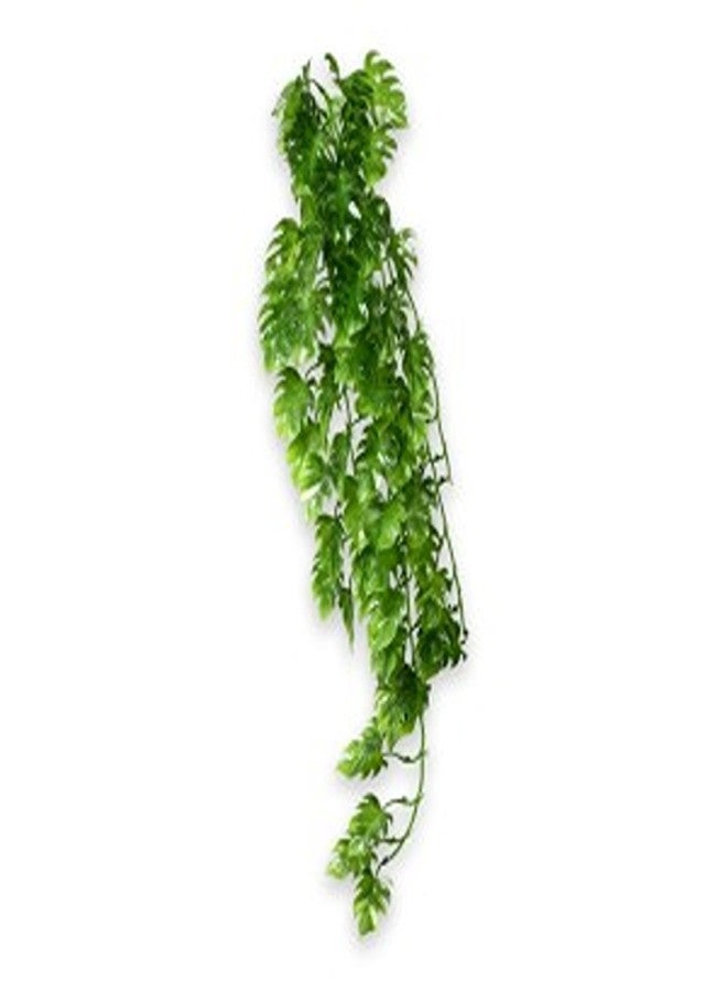 Hobby Climber Philo 70 cm