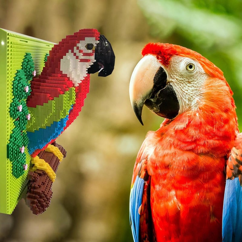 BDYDT Wall Art Parrot Building Blocks Set; A Wall Decor Set for Adults Who Love Creative Hobbies(2008 Pieces) Toys Gifts for Kid and Adult - Image 4