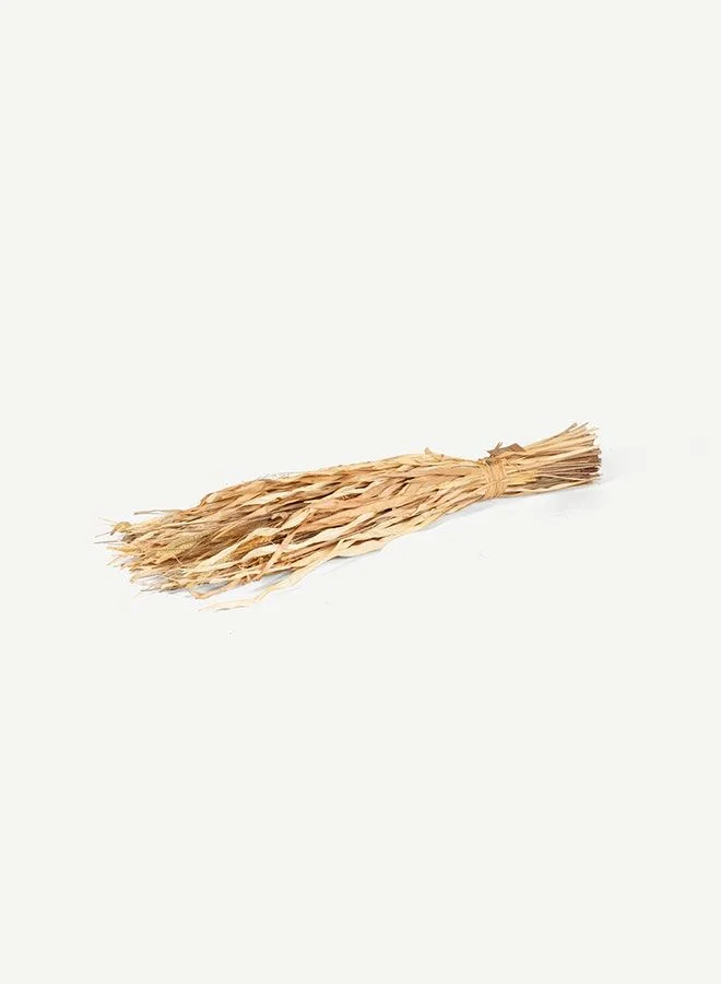 OC HOME Tolani Dried Plant Arrangement -Natural