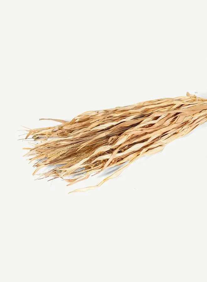OC HOME Tolani Dried Plant Arrangement -Natural