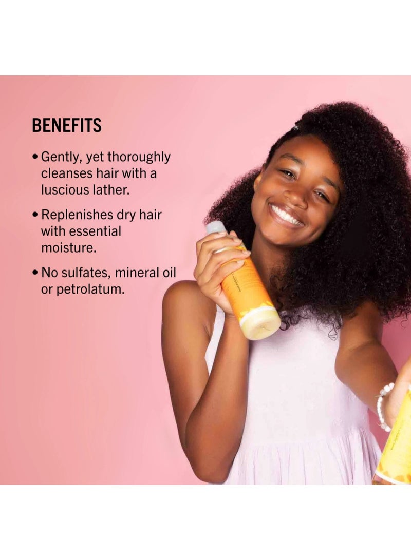 Aunt Jackie's Kids Heads Up Moisturizing and Hair Softening Shampoo for Naturally Curly, Coily and Wavy Hair, 12 oz (355 G) - Image 3