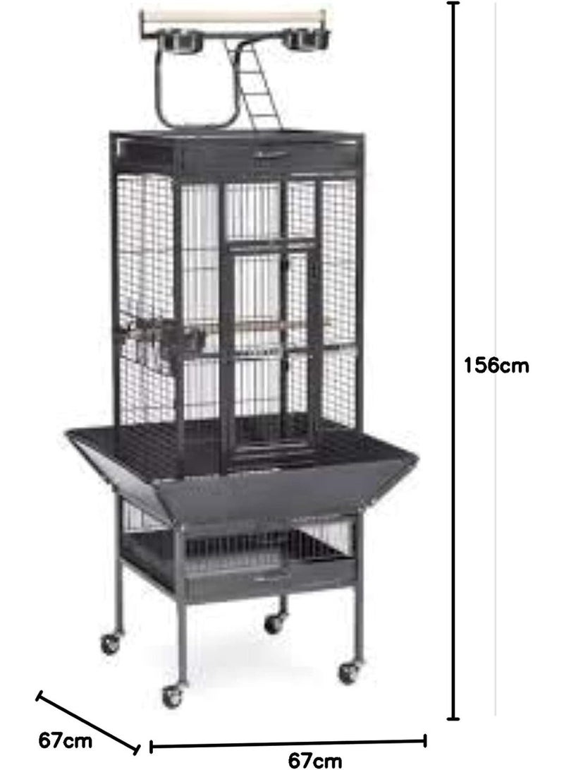 دايانغ قفص الطيور (A10) - 67 × 67 × 156 سم أسود - Image 2