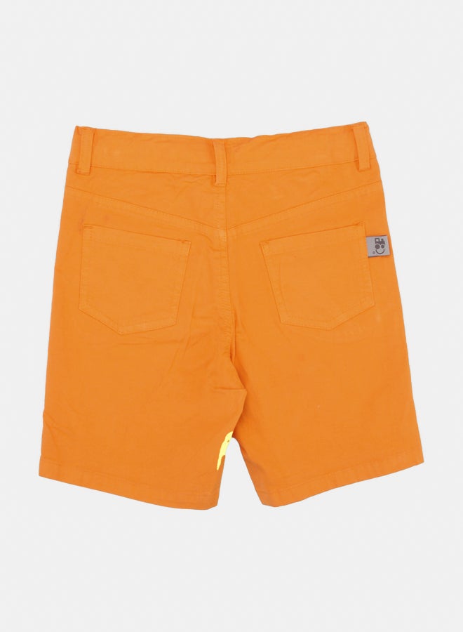 OWNKIDS Boy Shorts  - Image 2