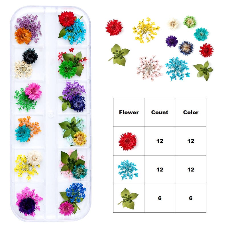 iFancer Dried Flowers for Resin Craft Nail Art Mix Small Mini Dry Flowers (Pack of 6 Boxes, About 260 PCS) - Image 4