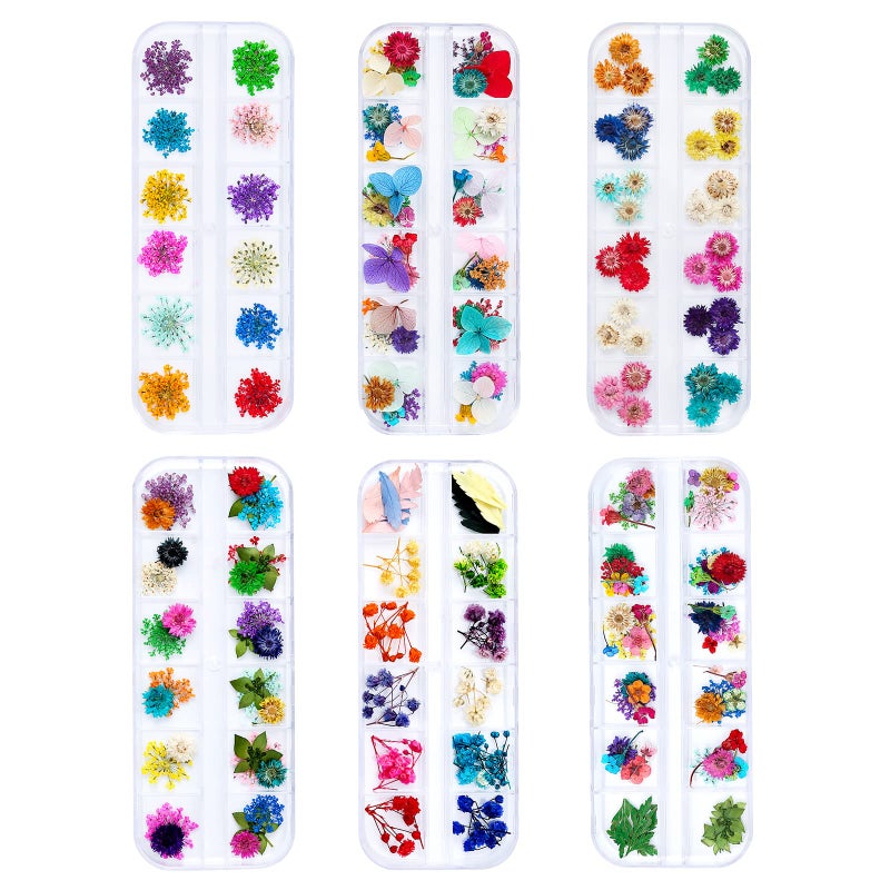 iFancer Dried Flowers for Resin Craft Nail Art Mix Small Mini Dry Flowers (Pack of 6 Boxes, About 260 PCS) - Image 1