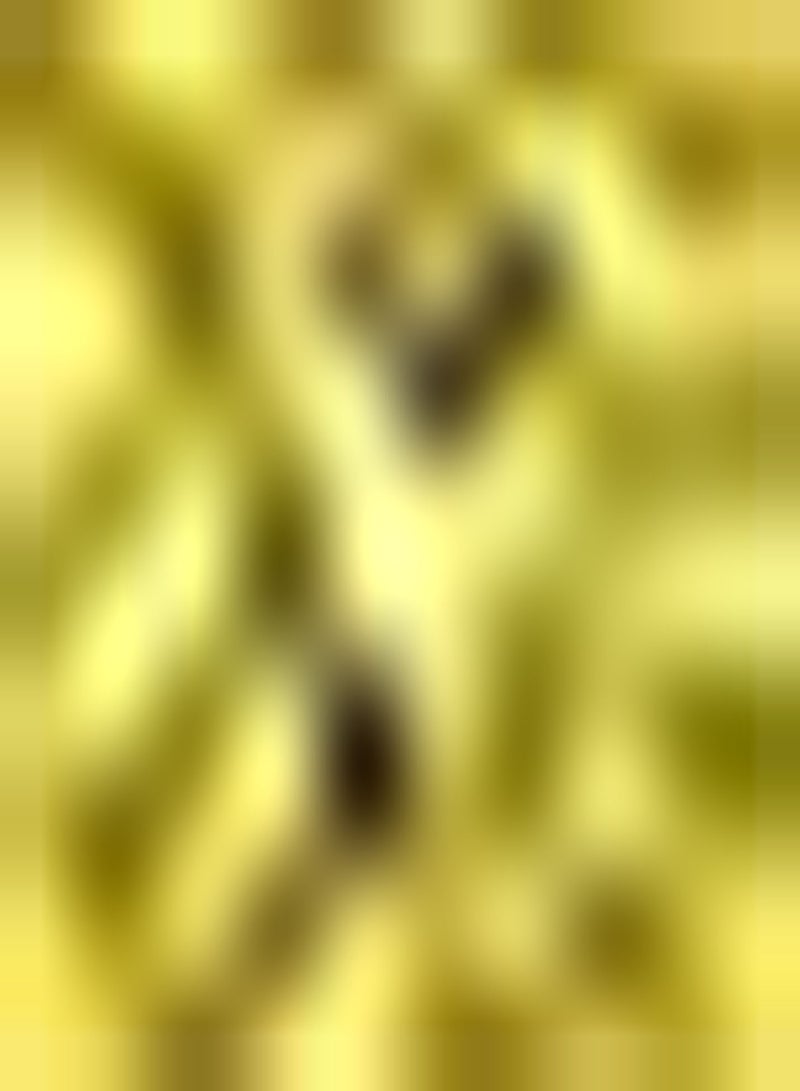 GGOOT 200pcs groene Paprika Zaden heerlijke gezonde natuurlijke groente thuis tuin populaire Hoge kiemkracht Geen Extra Zorg gemakkelijk te onderhouden - Image 2