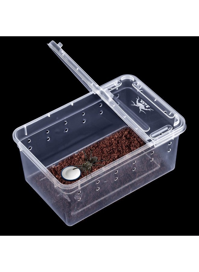 Irenare 8 Pcs Reptile Breeding Breeding Box Plastic Spider Terrarium Tarantula Feeding Box for Bearded Dragon Lizard Spider Gecko Scorpion, 5.9 x 3.9 x 2.5 in