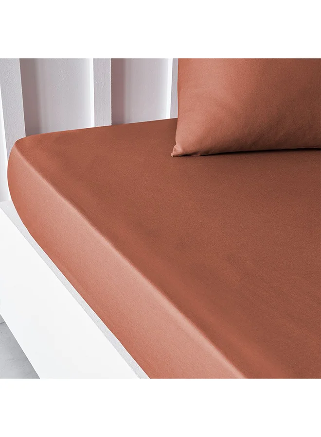 DANUBE HOME Danube Home Pristine Fit King Fitted Sheet Light Brown 180x200cm | 100% Cotton-144 Thread Count Bedding Cover For Bedroom