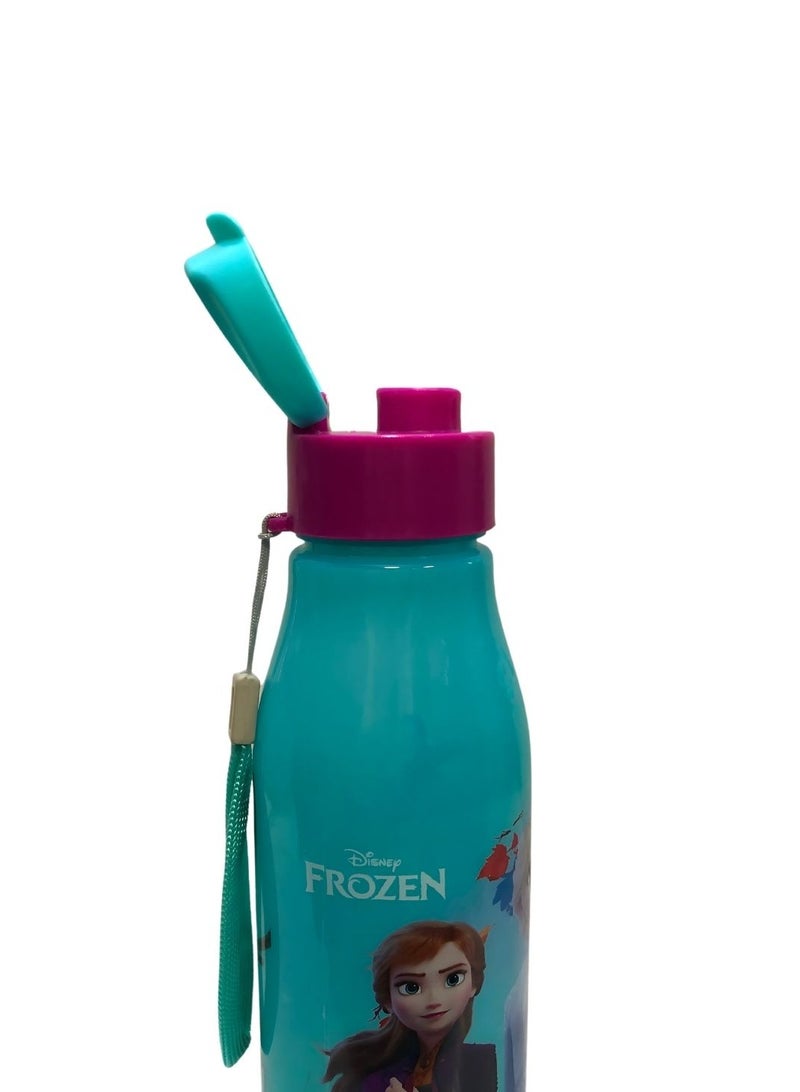 سكي زجاجة مياه تزلج طوكيو 600 مل PP مجمدة - Image 3