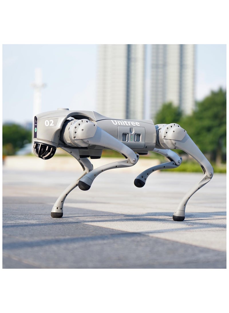 Unitree Go2 Robot Dog Quadruped Robotics for Adults Embodied AI (Go2 Pro) – With Controller