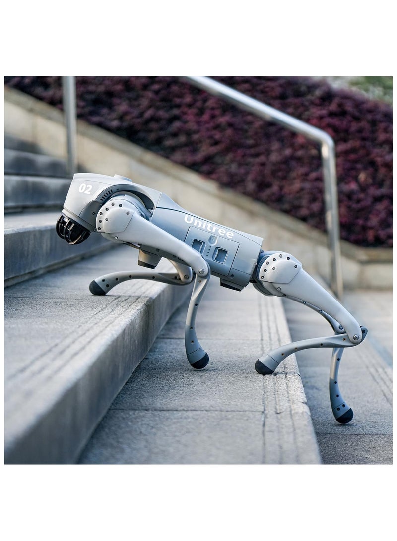Unitree Go2 Robot Dog Quadruped Robotics for Adults Embodied AI (Go2 Pro) – With Controller