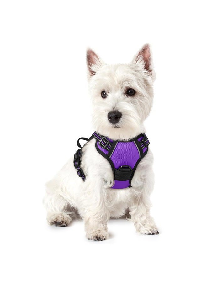 Rabbitgoo Dog Harness No Pull with 2 Leash Clips, Adjustable Soft Padded, Reflective Oxford No Choke Pet Vest with Easy Control Handle for Puppy, Purple,XS - Image 1